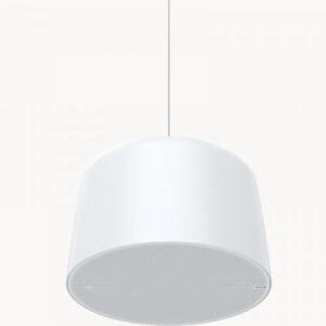AXIS C1511 NETWORK PENDANT SPEAKER